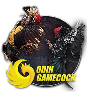 ค่ายเกมในเมนู กีฬาสัตว์ ค่าย OD COCK
