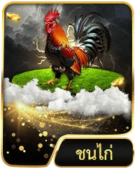 หมวดเกม กีฬาสัตว์